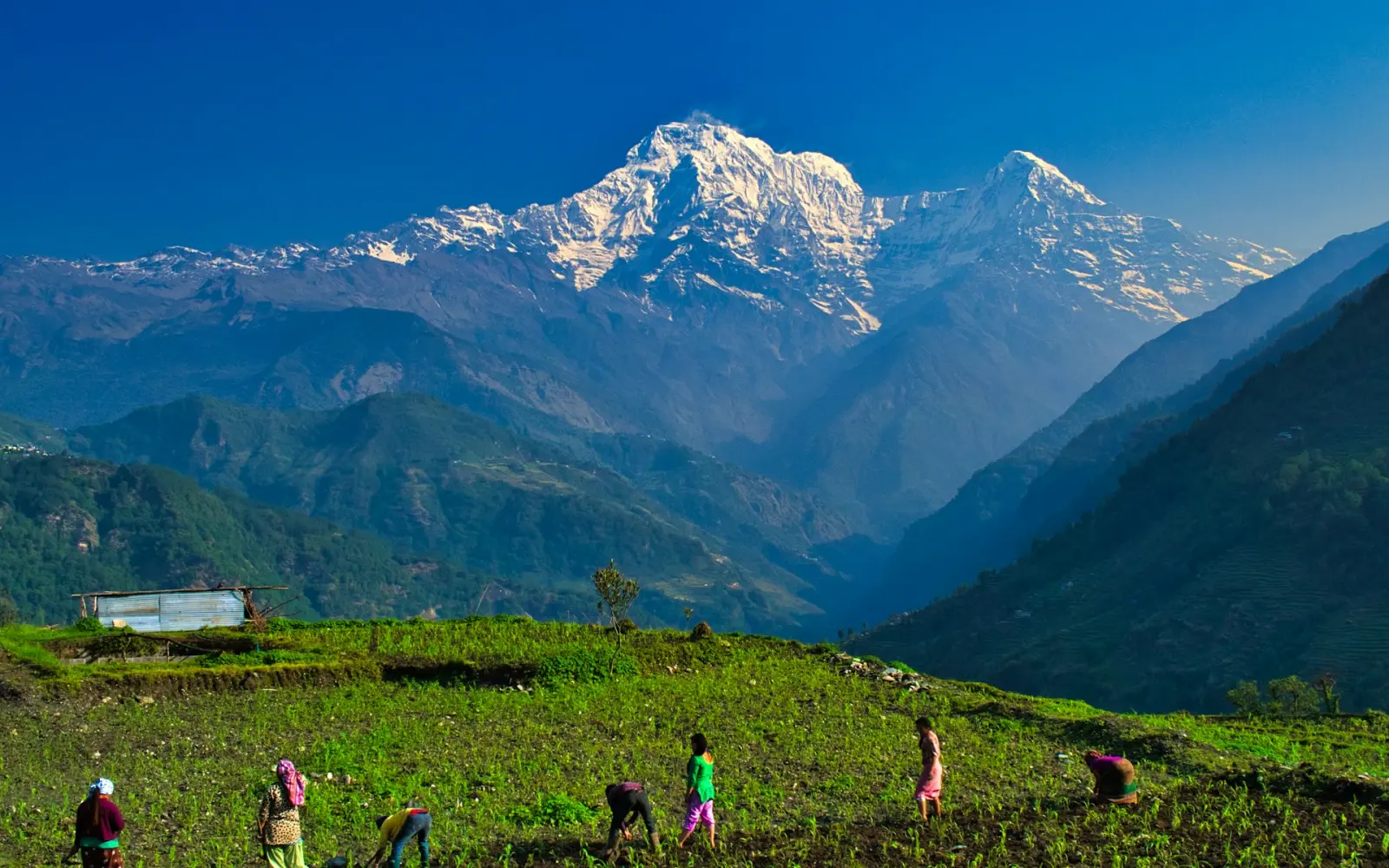 Beginner’s Guide to Trekking in Nepal: Everything You Need to Know